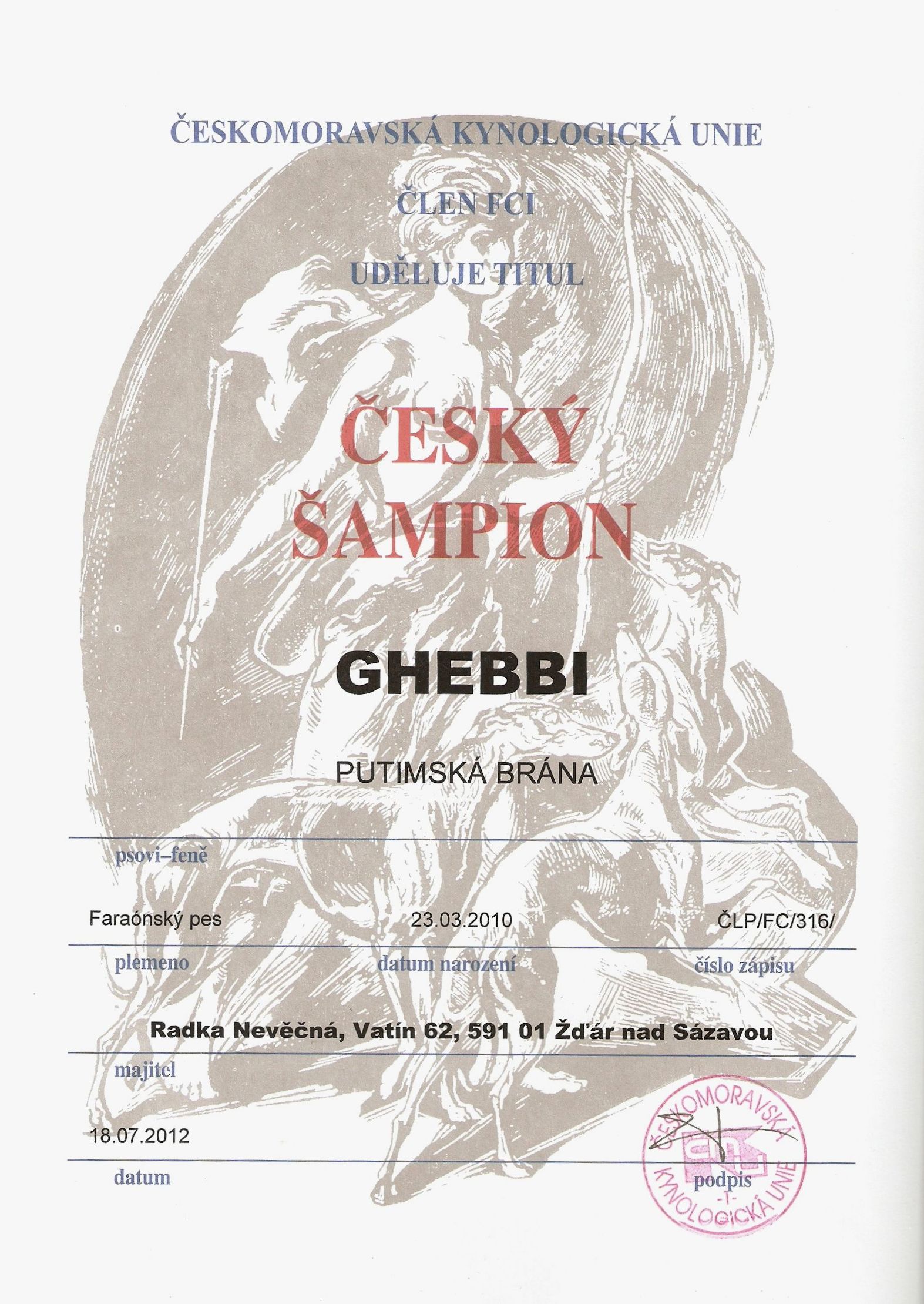 Ghebbi Putimská brána - Český šampion