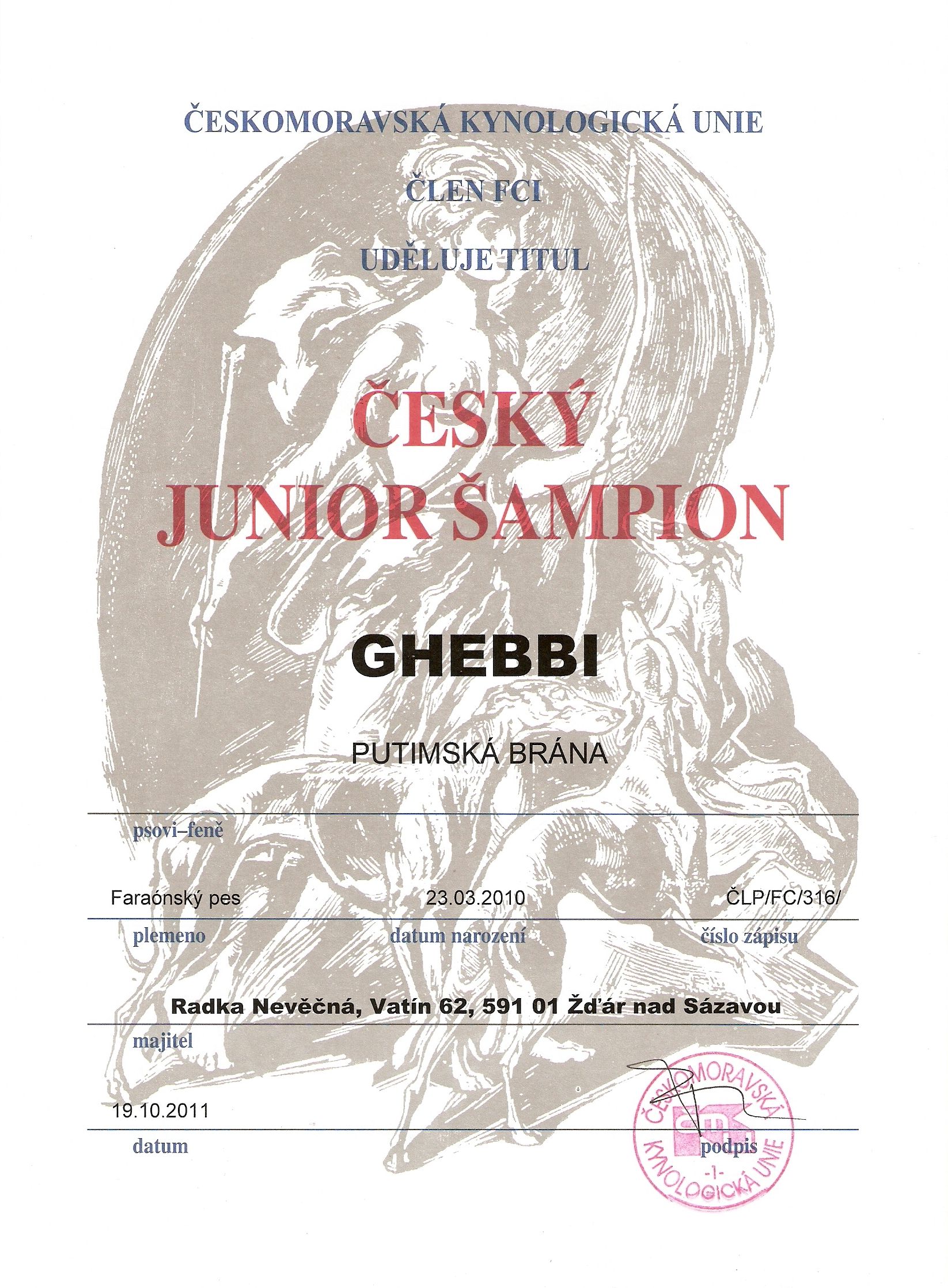 Ghebbi Putimská brána - Český junior šampion