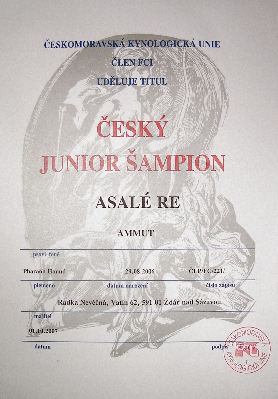 Asalé Re Ammut - Český junior šampion