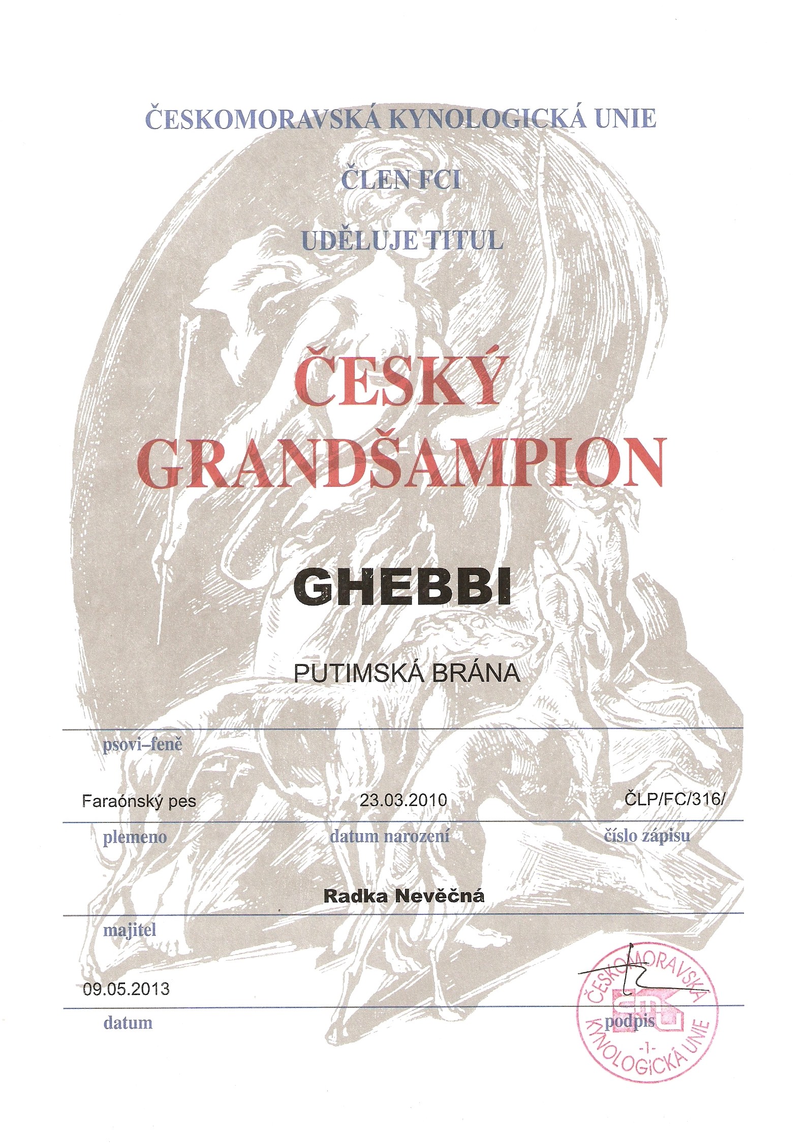 Ghebbi Putimská brána - Český grandšampion